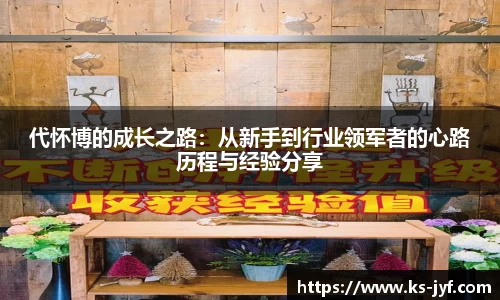 代怀博的成长之路：从新手到行业领军者的心路历程与经验分享